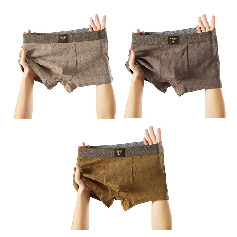 3 แพ็ค ฮัวเจียหลงกางเกงบ็อกเซอ - Multi Pack Underwear บทวิจารณ์และราคา